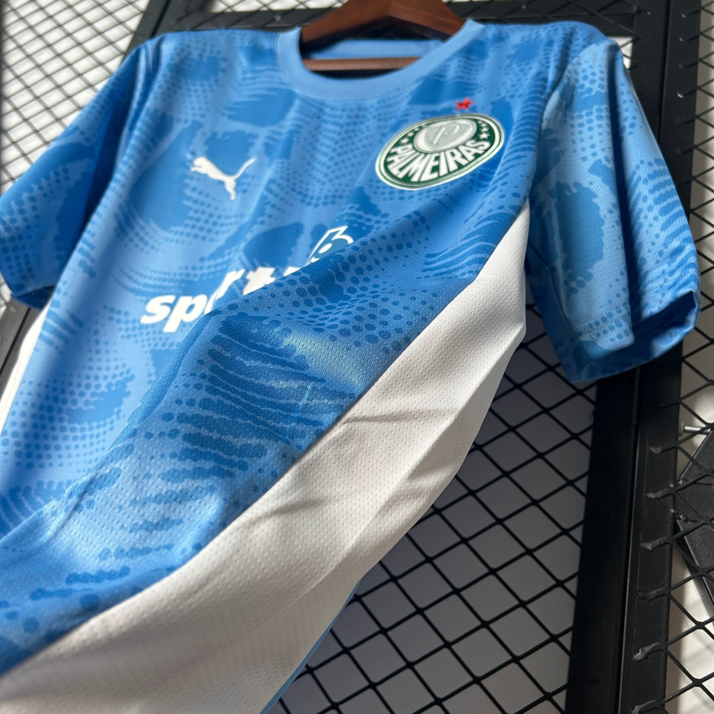 Palmeiras 25/26 Goalkeeper blue