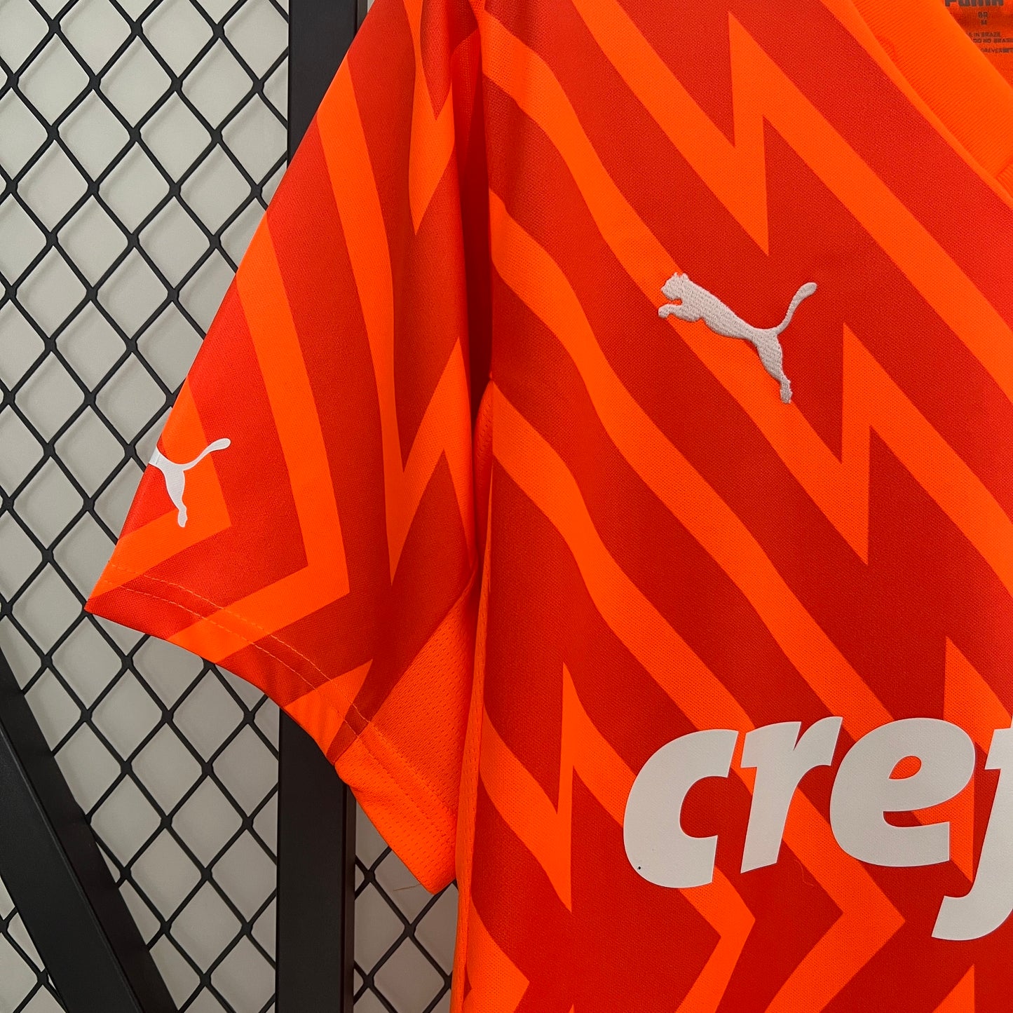 Palmeiras 24/25 Goalkeeper