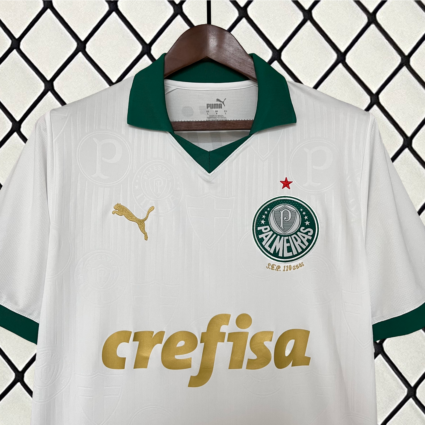 Palmeiras 24/25 Alternativa