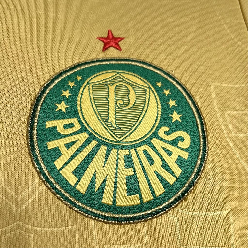 Palmeiras 24/25 Alternativa 3