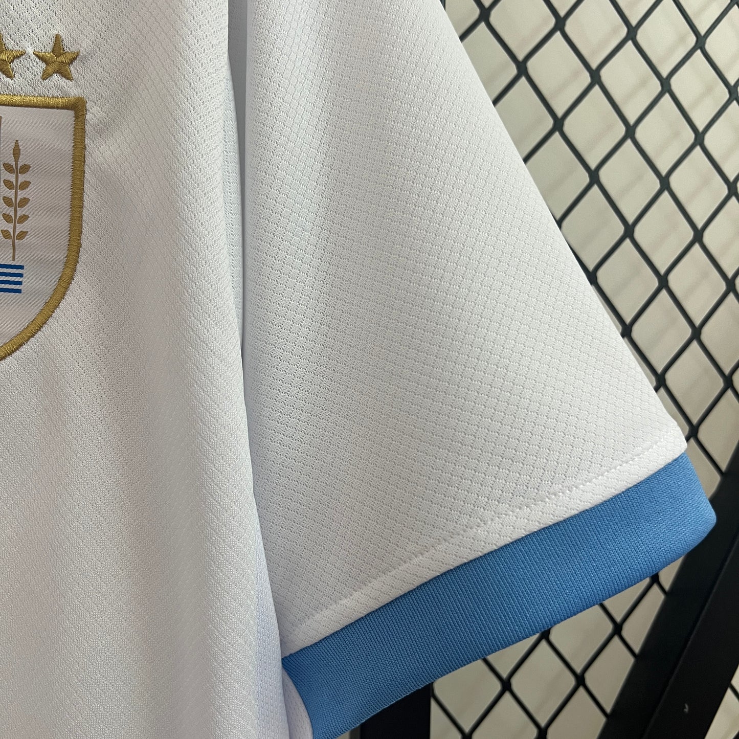 Uruguay 2024 Alternativa