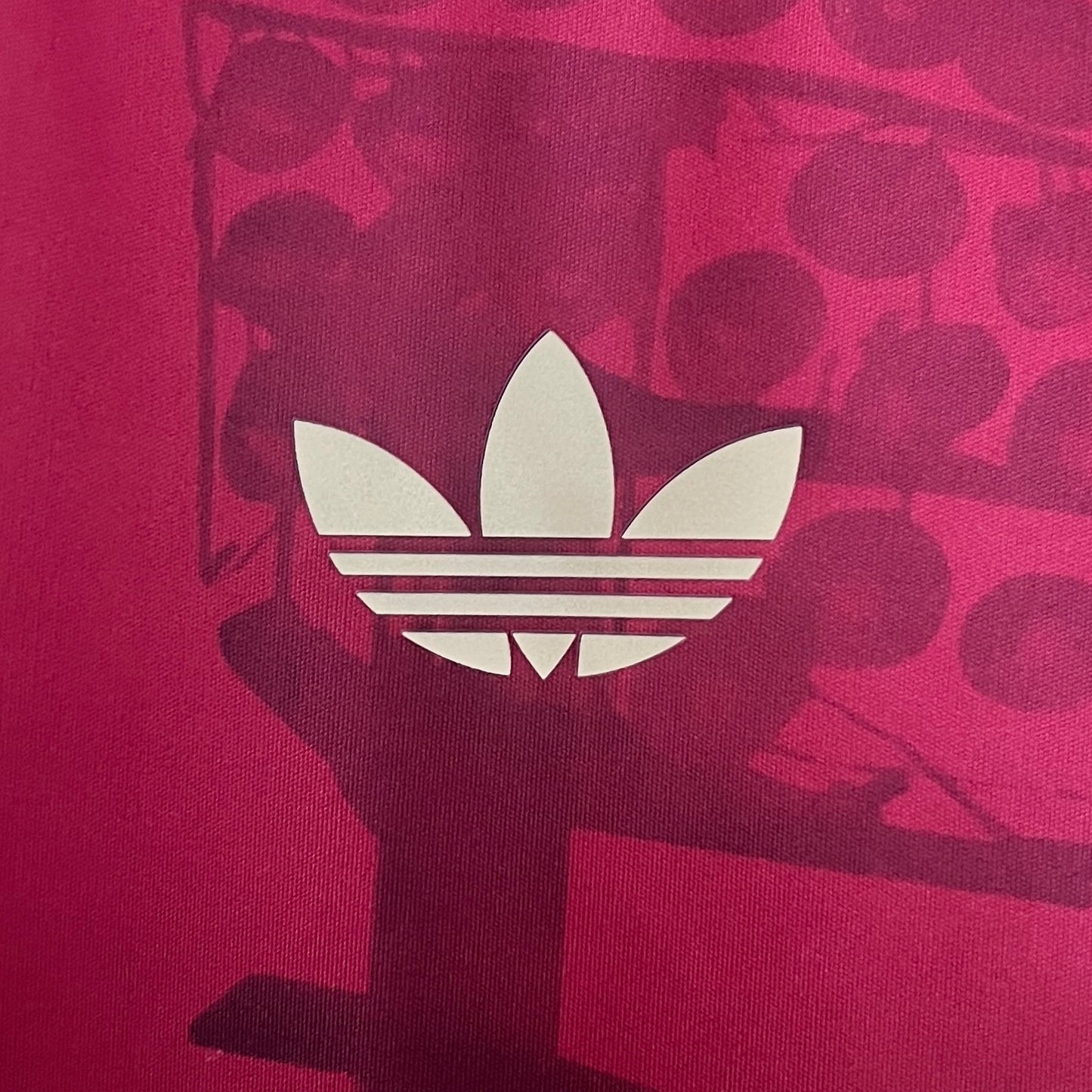 Bayern Munich 24/25 Special Edition