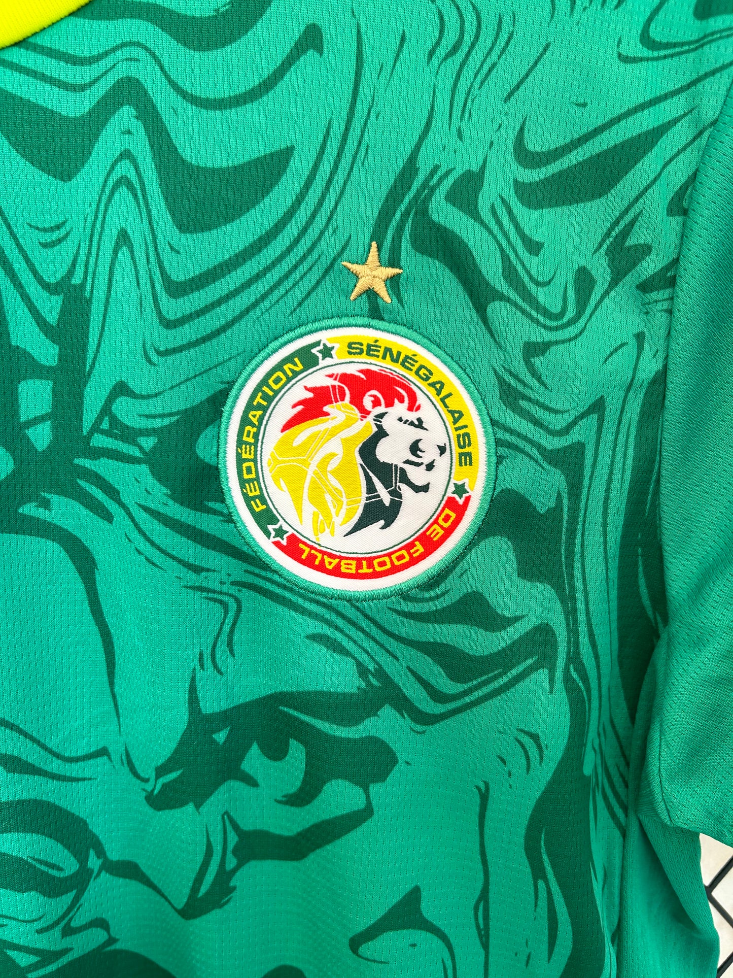 Senegal 2025 Alternativa