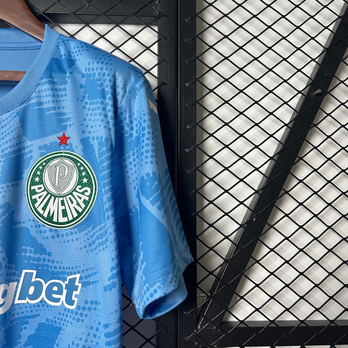 Palmeiras 25/26 Goalkeeper blue