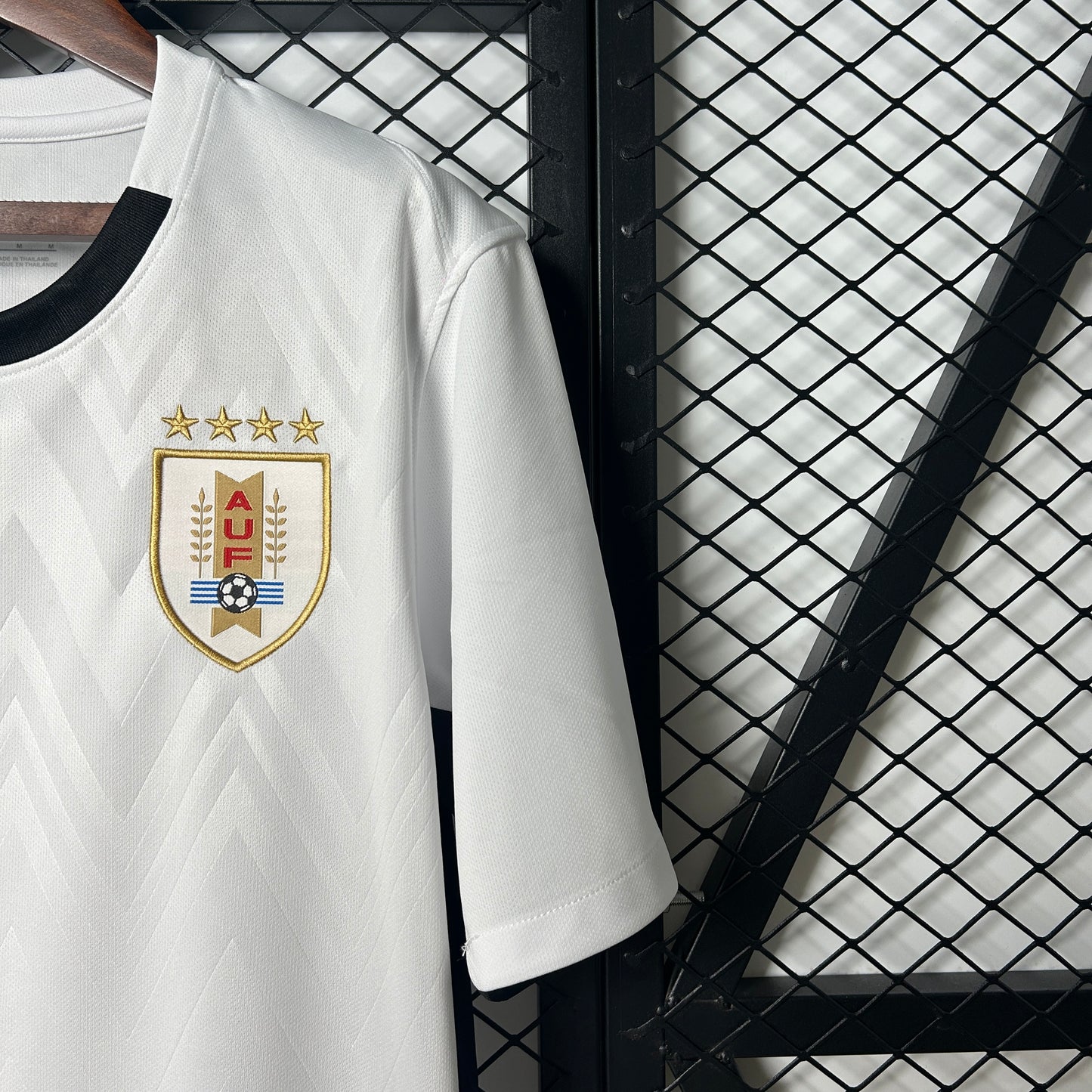 Uruguay 2025 Alternativa