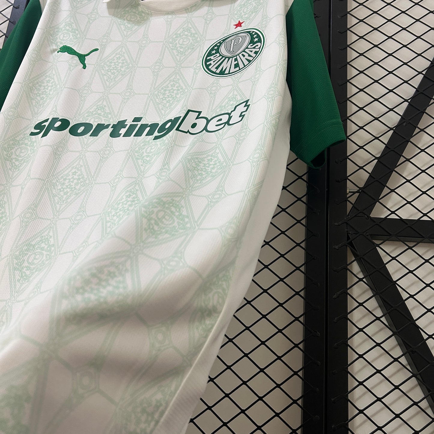 Palmeiras 25/26 Alternativa