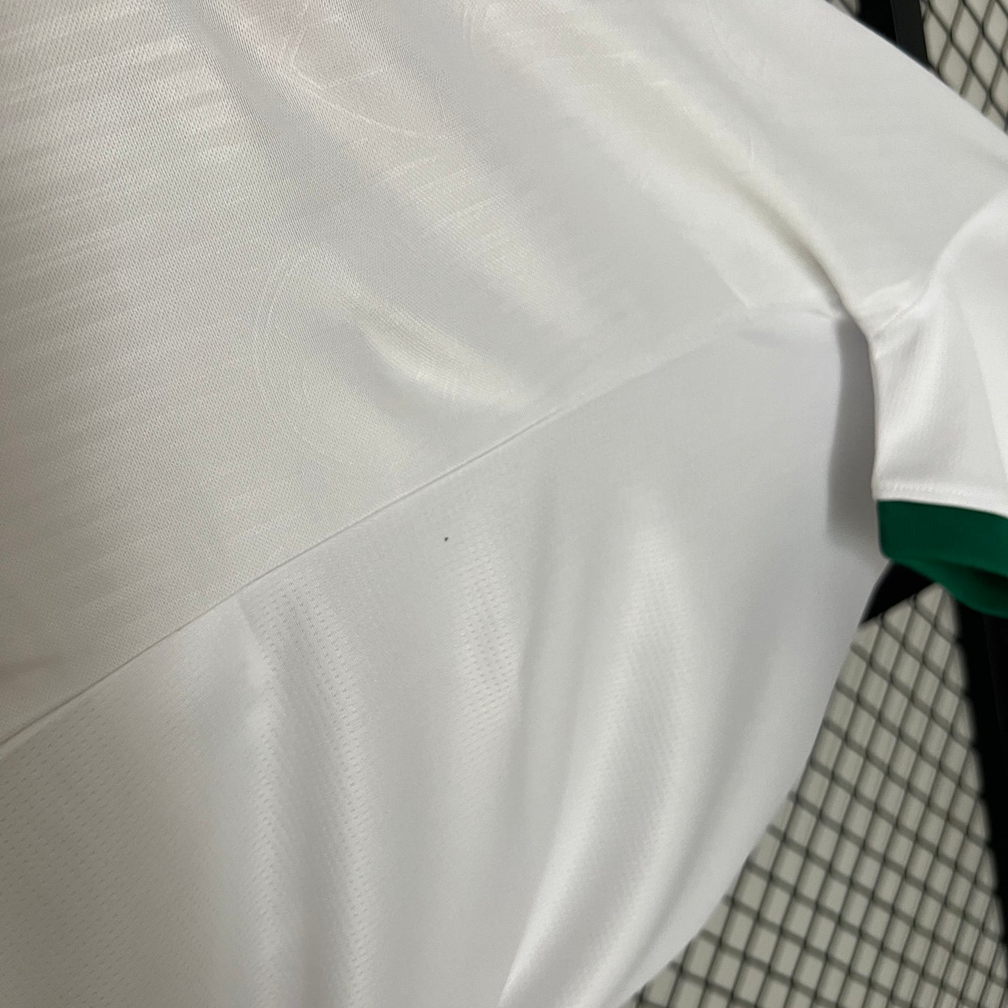 Palmeiras 24/25 Feminina Alternativa