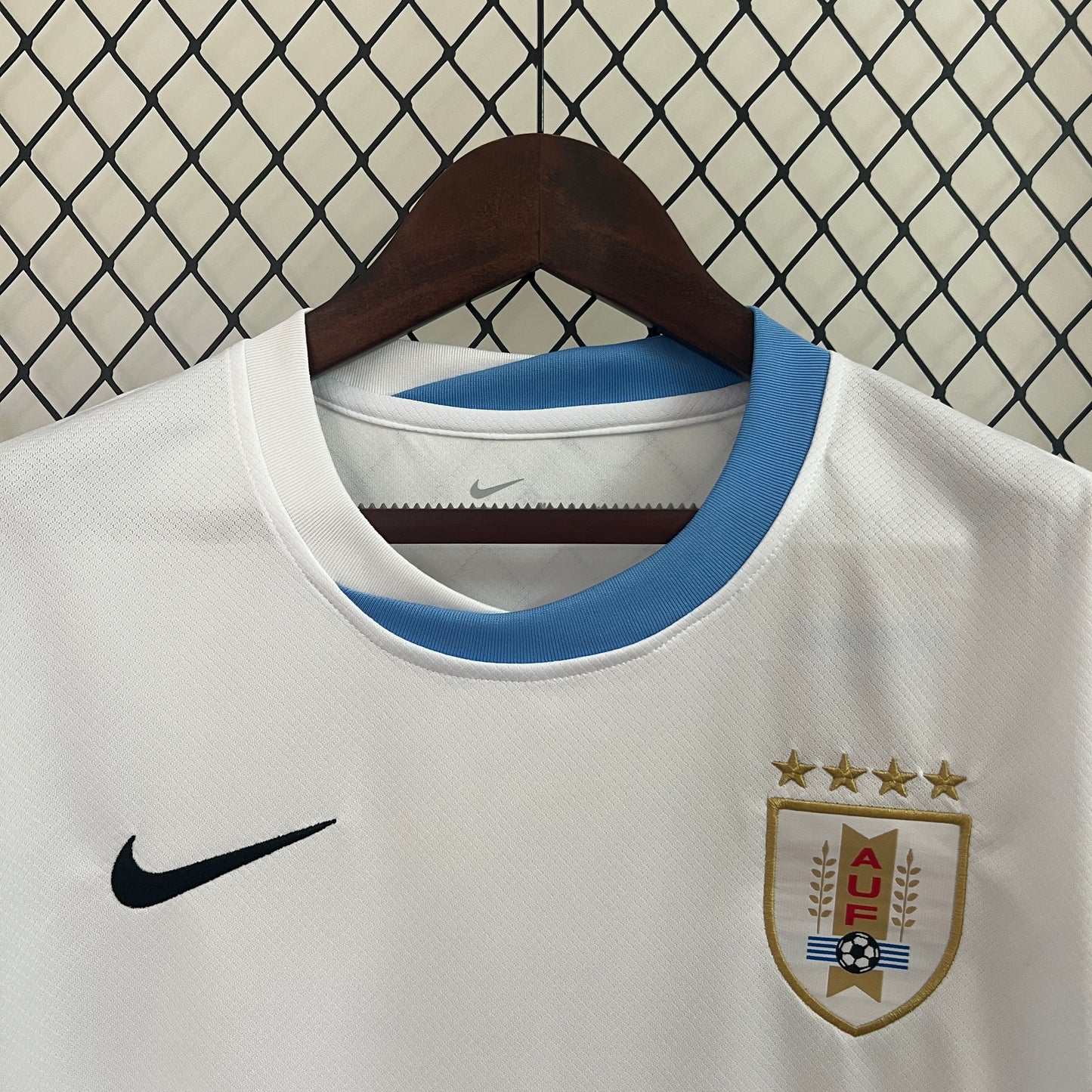 Uruguay 2024 Alternativa