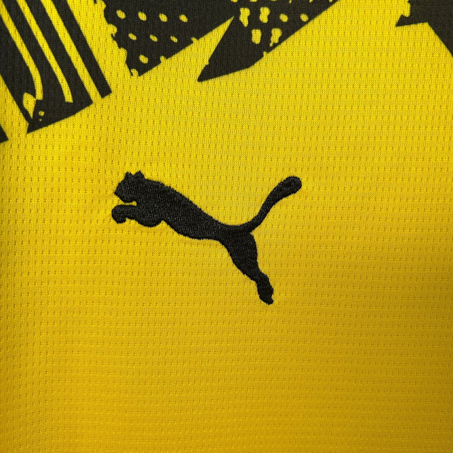 Dortmund 25/26 Casa