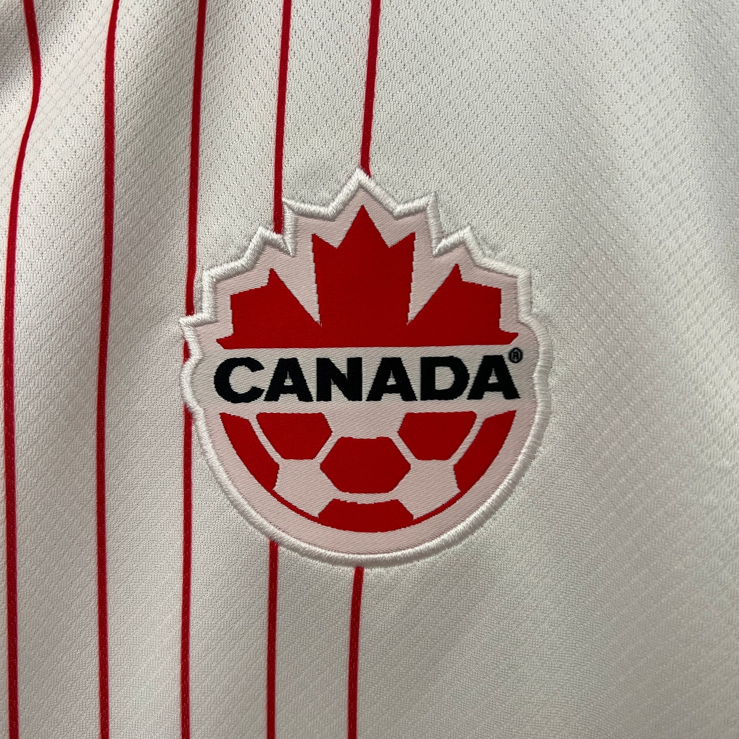 Canada 2024 Alternativa