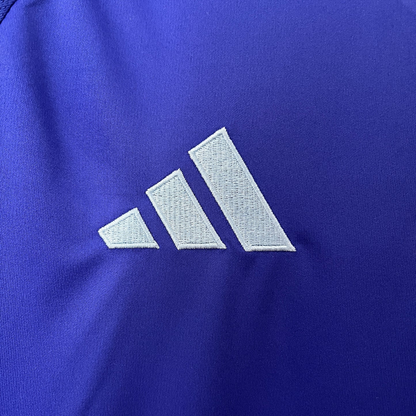 Argentina 2024 Alternativa
