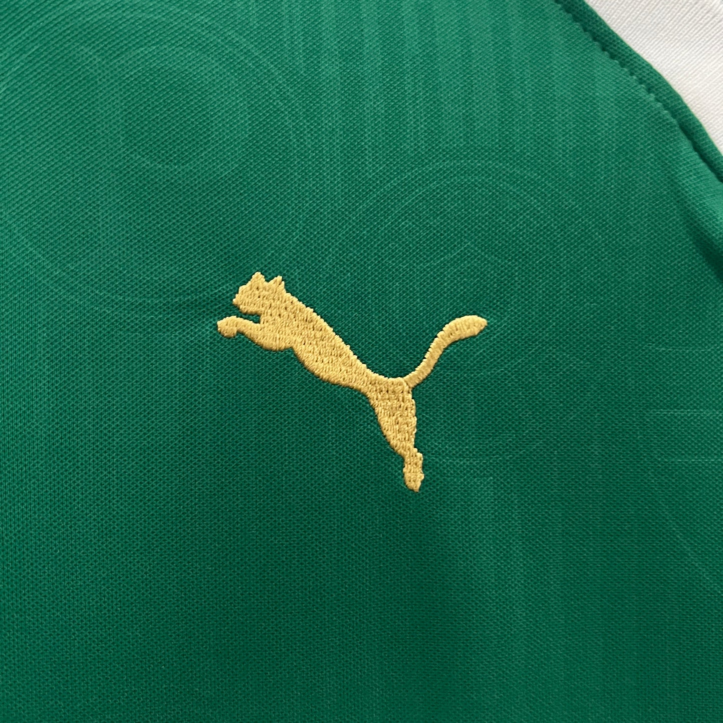 Palmeiras 24/25 Feminina Casa