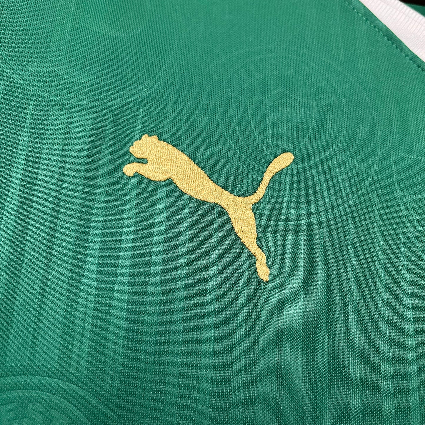 Palmeiras 24/25 Casa