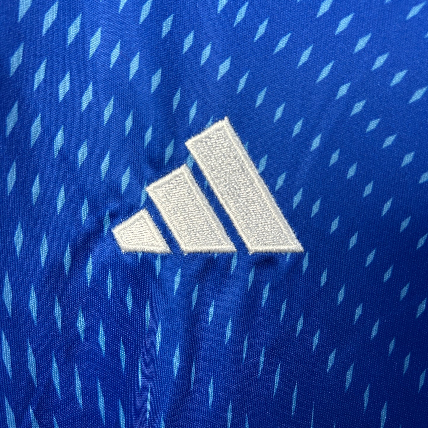 Benfica 25/26 GoalKeeper Training Blue