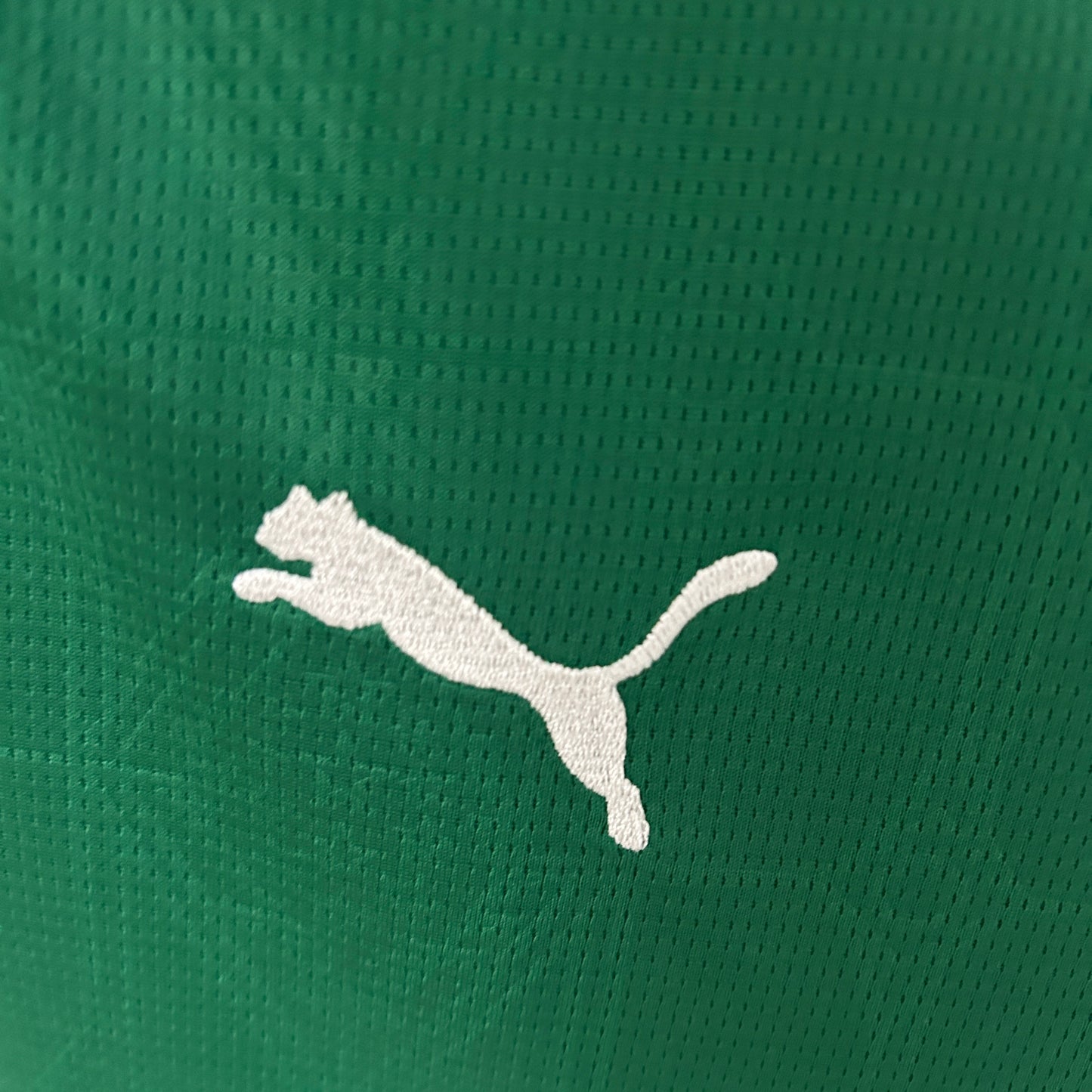 Palmeiras 25/26 Feminina Casa