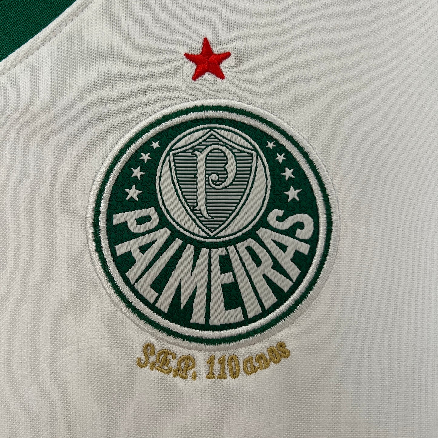 Palmeiras 24/25 Feminina Alternativa