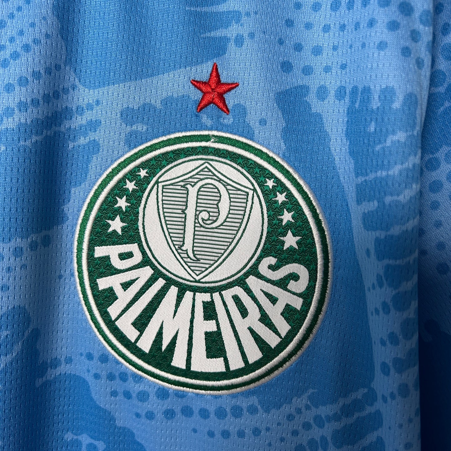 Palmeiras 25/26 Goalkeeper blue