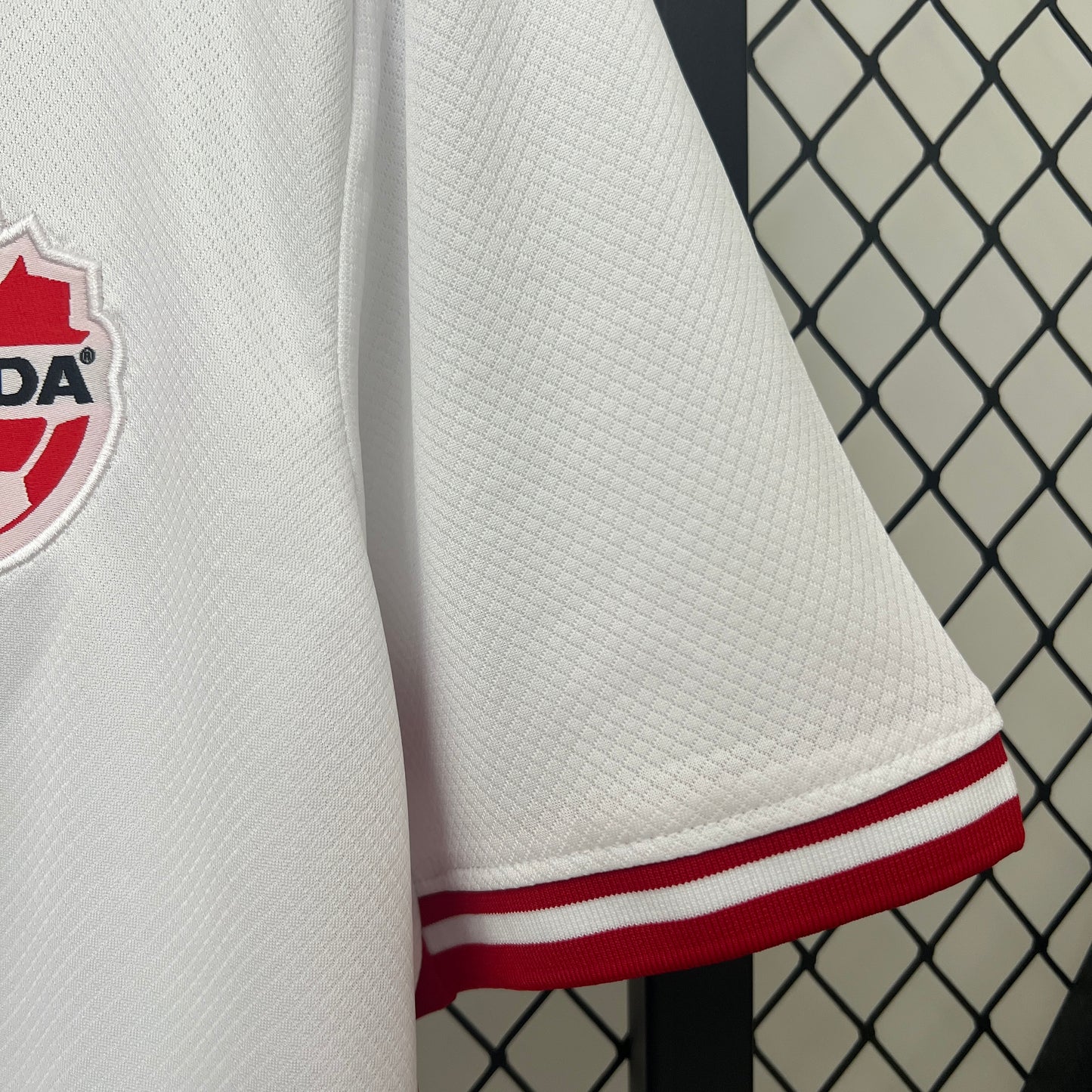 Canada 2024 Alternativa