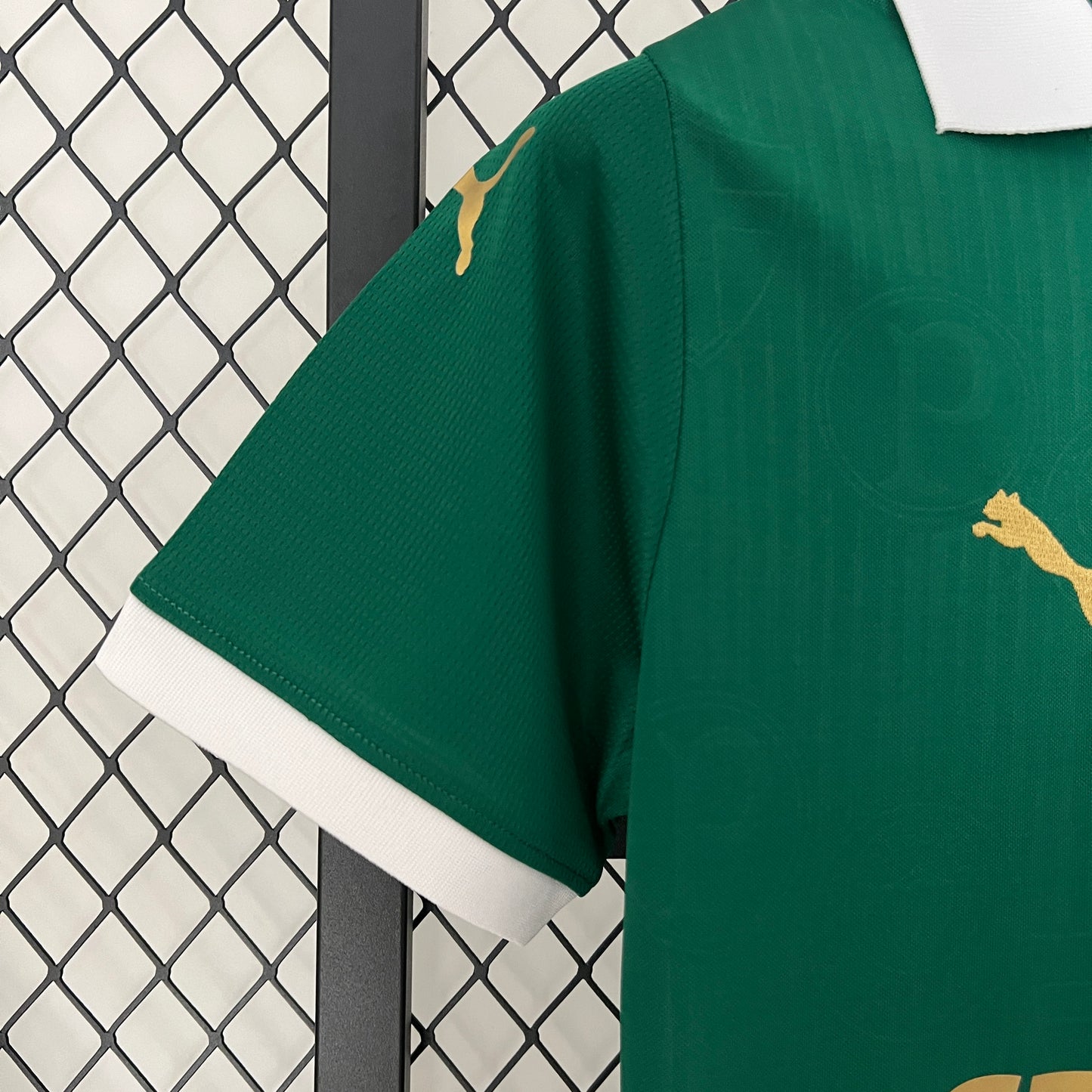 Palmeiras 24/25 Feminina Casa