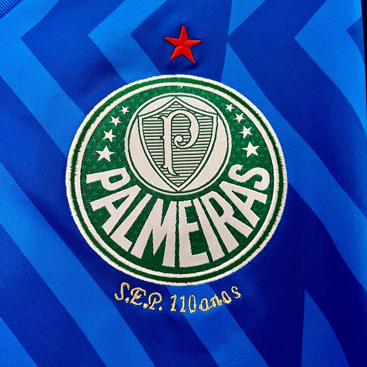 Palmeiras 24/25 Goalkeeper Blue