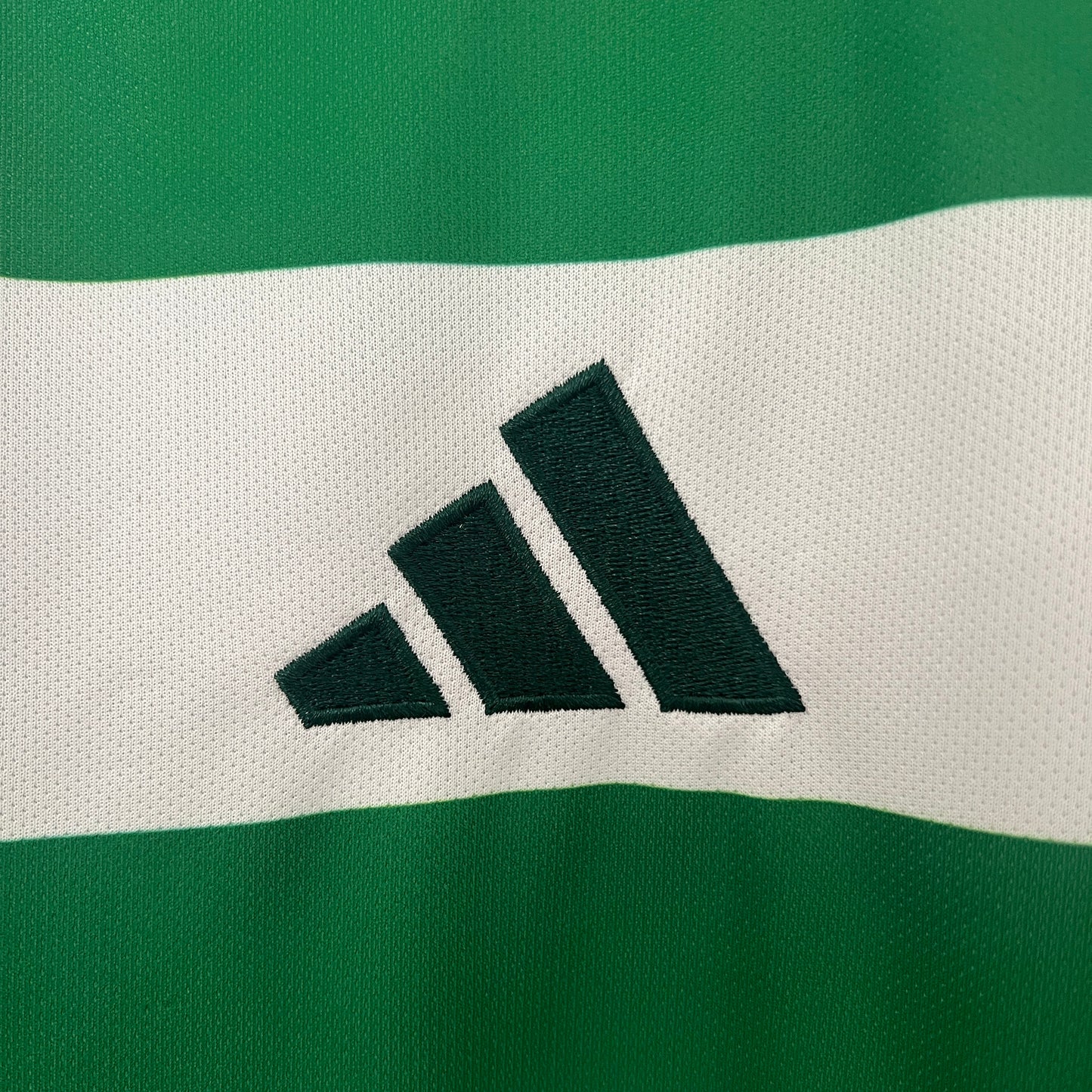 Celtics 24/25 Casa
